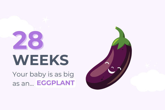 28 weeks pregnant: your baby is as big as an eggplant