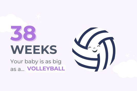 38-weeks-pregnant-your-baby-is-as-big-as-a-volleyball