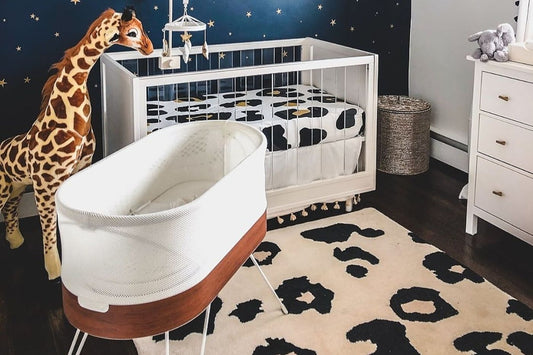 giraffe-nursery-design