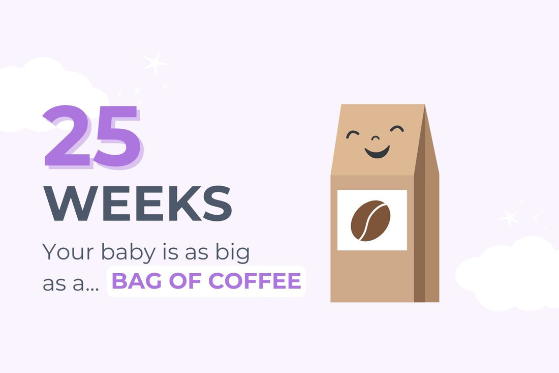 25 weeks pregnant: your baby is as big as a bag of coffee