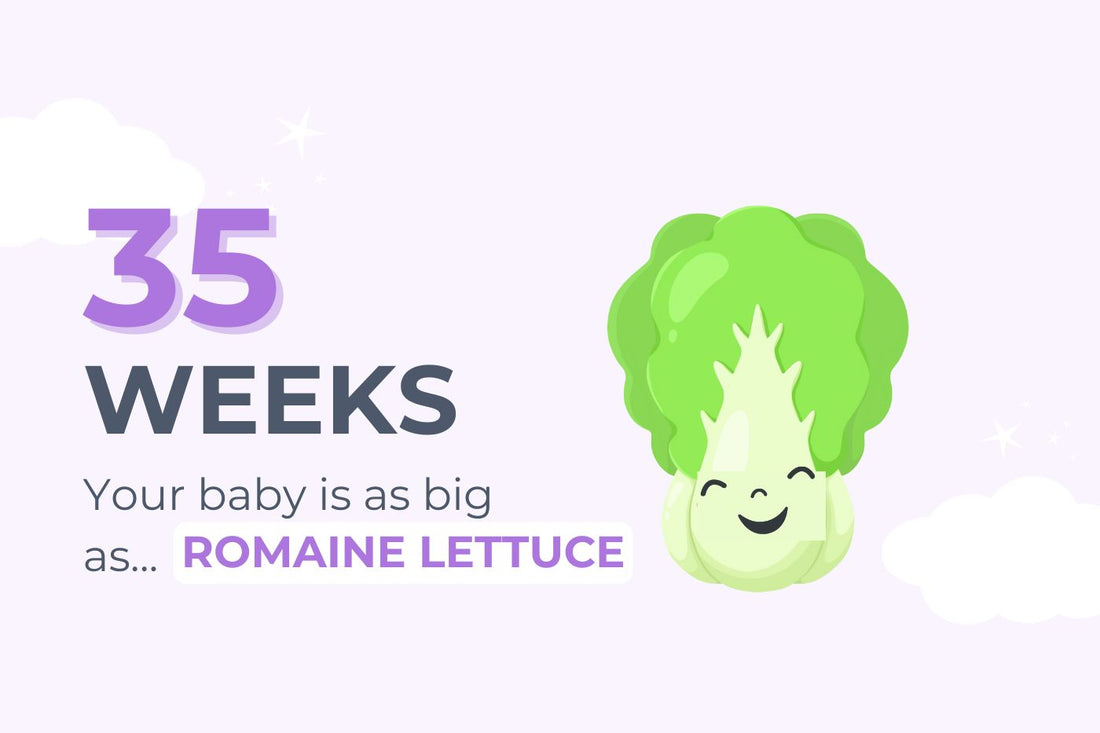 35 weeks pregnant: your baby is as big as romaine lettuce