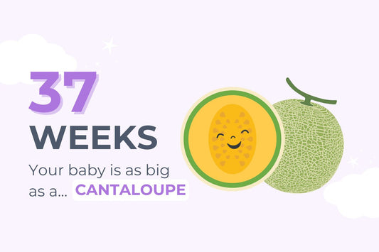 37-weeks-pregnant-your-baby-is-as-big-as-a-cantaloupe