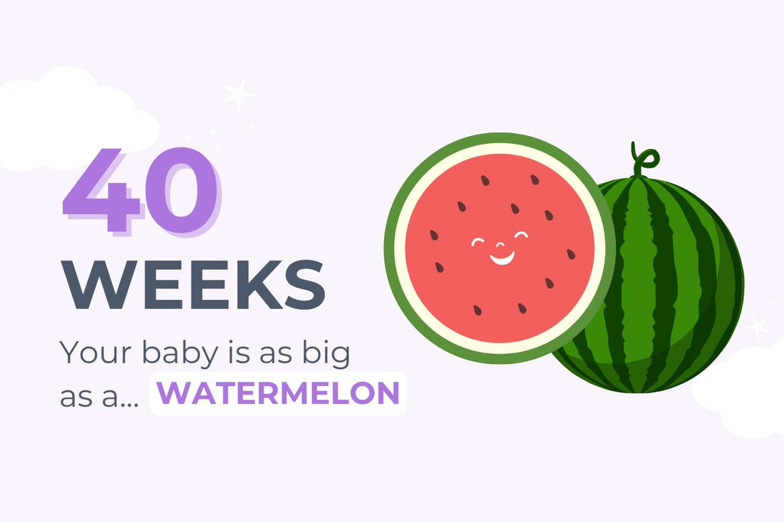 40 weeks pregnant: your baby is as big as a watermelon