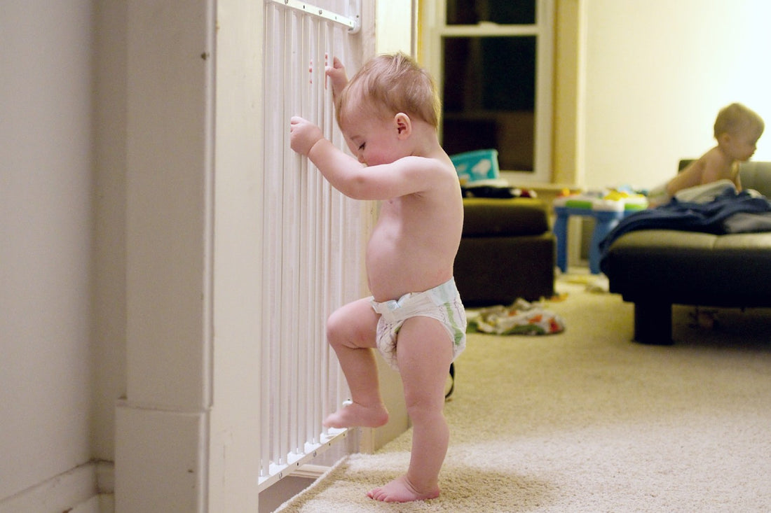 A toddler tries to scale a baby gate